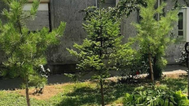 Kuća, Trosoban, Prodaja, 60m2, Debeljača, Okolno mesto, Debeljaca