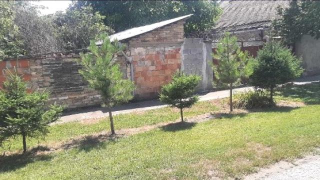 Kuća, Trosoban, Prodaja, 60m2, Debeljača, Okolno mesto, Debeljaca