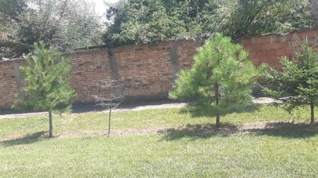 Kuća, Trosoban, Prodaja, 60m2, Debeljača, Okolno mesto, Debeljaca