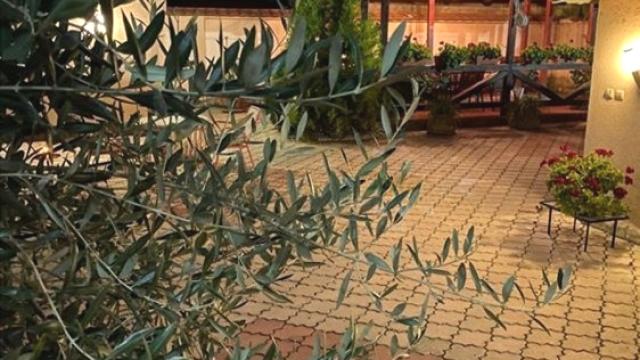 Kuća, Petosoban, Izdavanje, 126m2, Batajnica, Zemun, Pukovnika Milenka Pavlovica