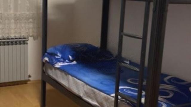 Kuća, Petosoban, Izdavanje, 126m2, Batajnica, Zemun, Pukovnika Milenka Pavlovica