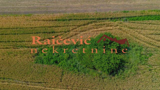 Plac, Prodaja, 16400m2, Mladenovac selo, Mladenovac, Mihaila Badzaka