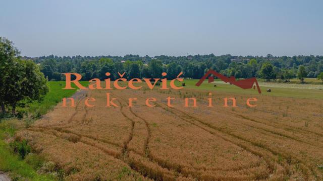 Plac, Prodaja, 16400m2, Mladenovac selo, Mladenovac, Mihaila Badzaka