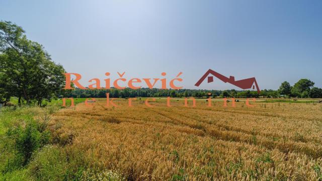 Plac, Prodaja, 16400m2, Mladenovac selo, Mladenovac, Mihaila Badzaka