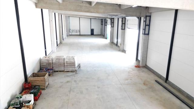 Poslovni prostor, Jednosoban, Izdavanje, 920m2, Trnava, Okolno mesto, Zadrugarska