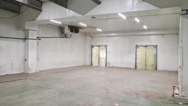 Poslovni prostor, Trosoban, Izdavanje, 3200m2, Šimanovci, Okolno mesto, Kapetana Svetislava Krstica