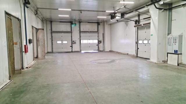 Poslovni prostor, Trosoban, Izdavanje, 3200m2, Šimanovci, Okolno mesto, Kapetana Svetislava Krstica