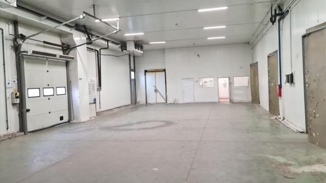 Poslovni prostor, Trosoban, Izdavanje, 3200m2, Šimanovci, Okolno mesto, Kapetana Svetislava Krstica