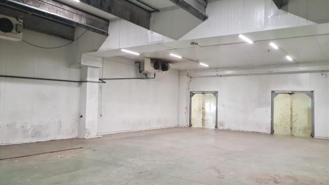 Poslovni prostor, Trosoban, Izdavanje, 3200m2, Šimanovci, Okolno mesto, Kapetana Svetislava Krstica