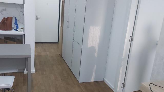 Stan, Jednoiposoban, Izdavanje, 33m2, Bulevar kralja Aleksandra