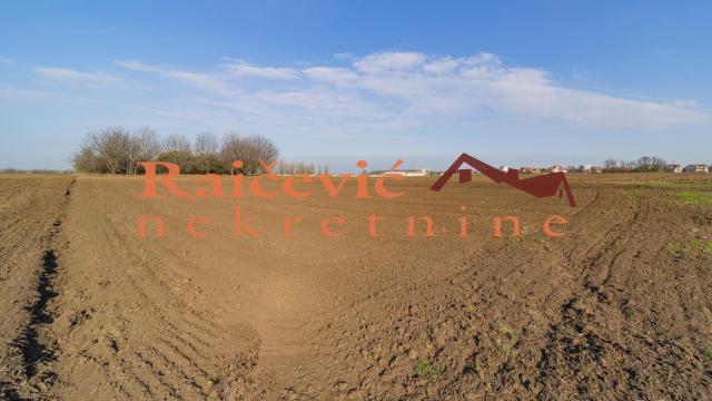 Plac, Prodaja, 7700m2, Plavi horizonti, Zemun, Dobanovacka rampa