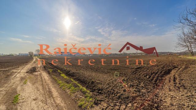 Plac, Prodaja, 7700m2, Plavi horizonti, Zemun, Dobanovacka rampa