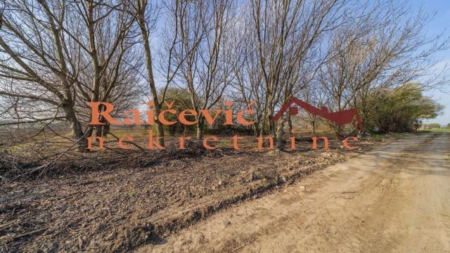 Plac, Prodaja, 7700m2, Plavi horizonti, Zemun, Dobanovacka rampa