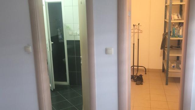 Poslovni prostor, Trosoban, Izdavanje, 750m2, Veternik, Novi Sad, Adel Nemesanji 19