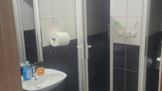 Poslovni prostor, Trosoban, Izdavanje, 750m2, Veternik, Novi Sad, Adel Nemesanji 19