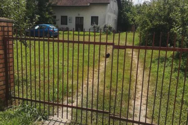 prodaja, kuca,
borca-palilula-beograd, 1072277, petosoban-i-veci-atovi-nova-13