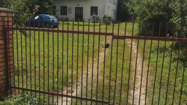 Kuća, Petosoban i veći, Prodaja, 135m2, Borča, Palilula, Atovi Nova 13