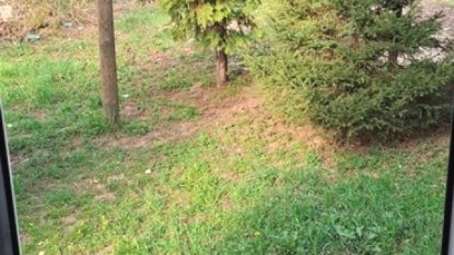 Stan, Jednosoban, Prodaja, 31m2, Zemun polje, Zemun, Devaldovih