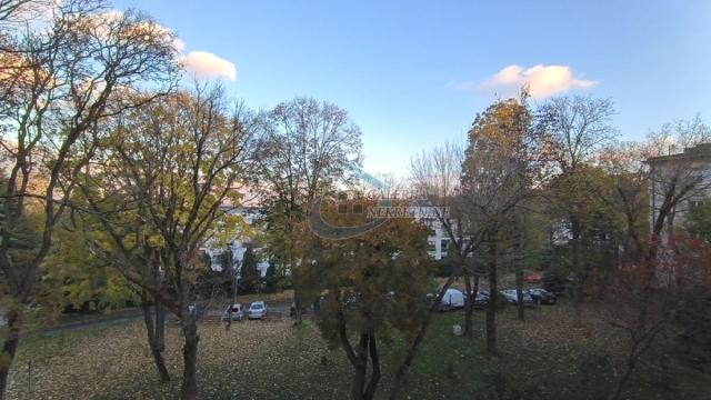 Poslovni prostor, Dvosoban, Izdavanje, 52m2, Dedinje, Savski venac, Sime Lozanića