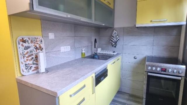 Stan, Jednosoban, Izdavanje, 37m2, Karaburma, Palilula, Marijane Gregoran