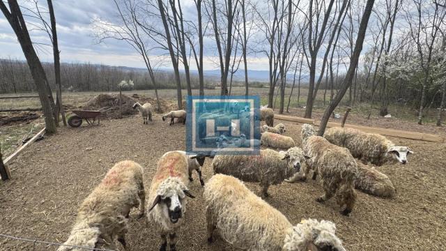 Kuća, Jednosoban, Prodaja, 36m2, Senje, Okolno mesto, Ćuprija