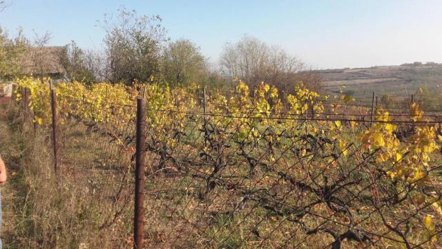 Kuća, Jednoiposoban, Prodaja, 30m2, Miloševo, Okolno mesto, Jagodina