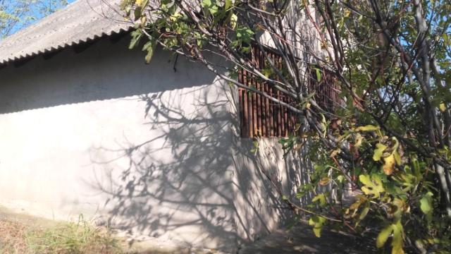 Kuća, Jednoiposoban, Prodaja, 30m2, Miloševo, Okolno mesto, Jagodina