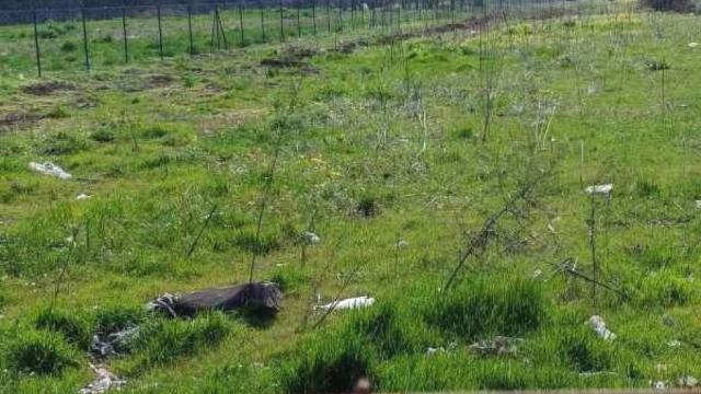 Plac, Izdavanje, m2, Surčin (mesto), Surčin, Vojvođanska