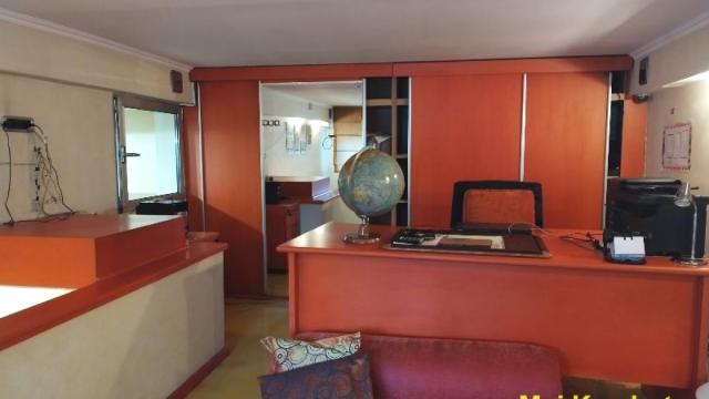 Poslovni prostor, Izdavanje, 170m2, Botanička bašta, Palilula, Bulevar despota Stefana