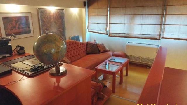 Poslovni prostor, Izdavanje, 170m2, Botanička bašta, Palilula, Bulevar despota Stefana