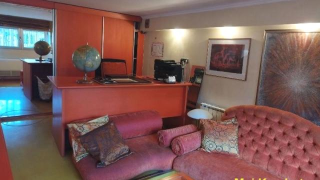 Poslovni prostor, Izdavanje, 170m2, Botanička bašta, Palilula, Bulevar despota Stefana