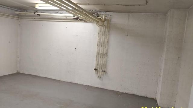 Poslovni prostor, Izdavanje, 170m2, Botanička bašta, Palilula, Bulevar despota Stefana