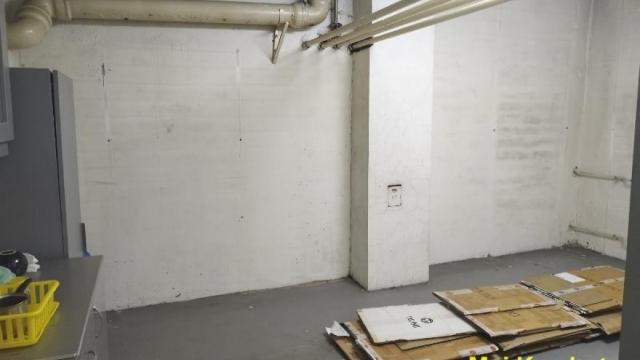 Poslovni prostor, Izdavanje, 170m2, Botanička bašta, Palilula, Bulevar despota Stefana