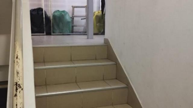 Poslovni prostor, Izdavanje, 170m2, Botanička bašta, Palilula, Bulevar despota Stefana