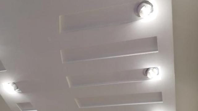 Poslovni prostor, Izdavanje, 170m2, Botanička bašta, Palilula, Bulevar despota Stefana