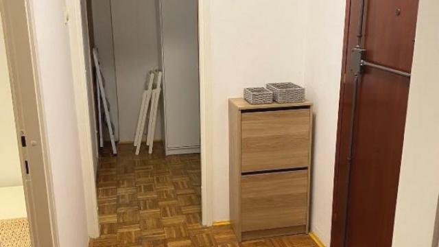 Stan, Jednoiposoban, Izdavanje, 45m2, Bežanijska kosa 1, Novi Beograd, Matije Vukovića