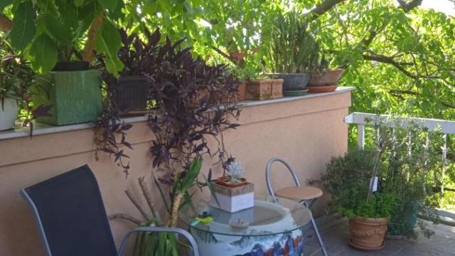 Kuća, Prodaja, 400m2, Kaludjerica, Grocka, Beograd