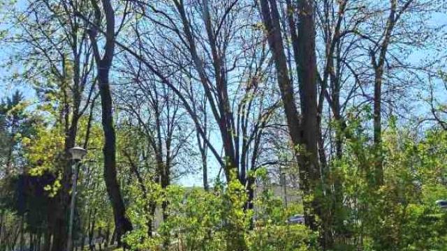 Stan, Dvosoban, Prodaja, 61m2, Dedinje, Savski venac, Boška Petrovića