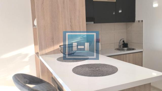 Stan, Izdavanje, 37m2, Centar, Gradska lokacija, Paraćin