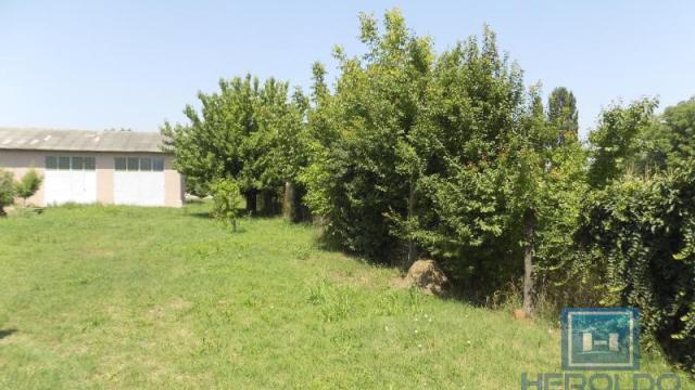 Poslovni prostor, Izdavanje, 200m2, Paraćin