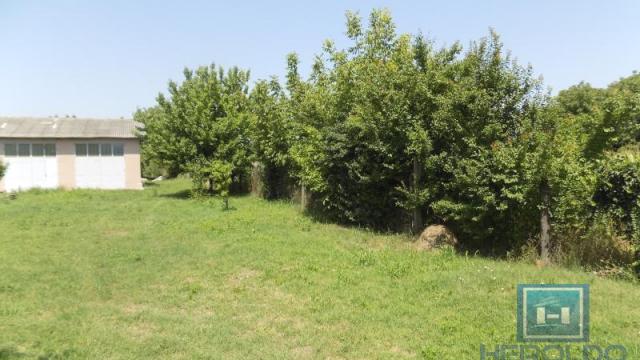 Poslovni prostor, Izdavanje, 200m2, Paraćin