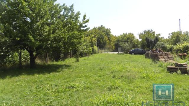 Poslovni prostor, Izdavanje, 200m2, Paraćin