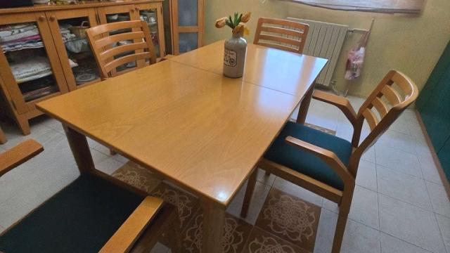 Kuća, Petosoban i veći, Prodaja, 300m2, Telep, Novi Sad, Milana Savica