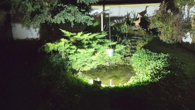 Kuća, Petosoban i veći, Prodaja, 300m2, Telep, Novi Sad, Milana Savica