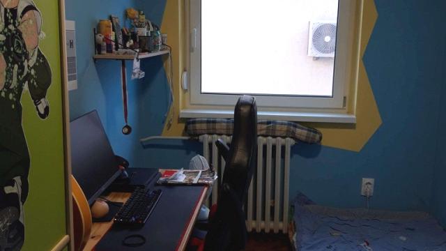 Kuća, Petosoban i veći, Prodaja, 250m2, Sremska Kamenica, Petrovaradin, Kneza Viseslava