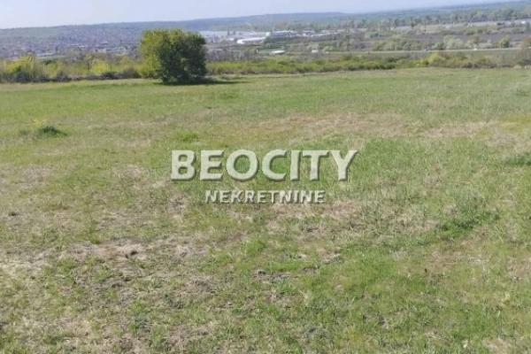 prodaja, plac,
ostruznica-cukarica-beograd, 1084358, predraga-radmulca