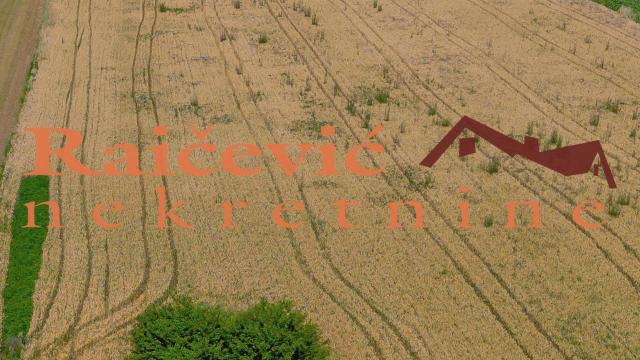 Plac, Prodaja, 16400m2, Mladenovac selo, Mladenovac, Mihaila Badzaka