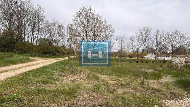 Kuća, četvorosoban, Prodaja, 302m2, Kočino Selo, Okolno mesto, Jagodina