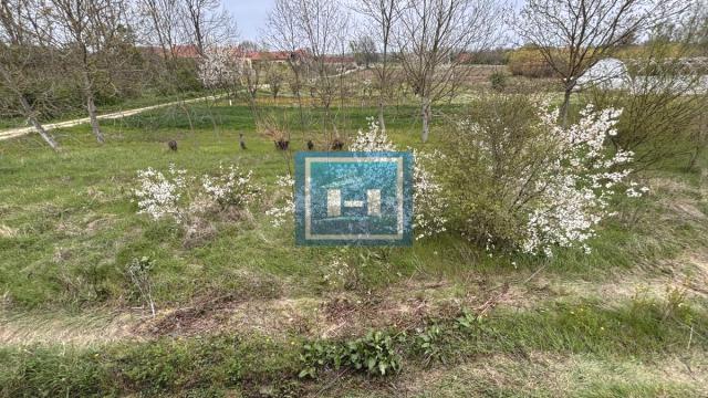 Kuća, četvorosoban, Prodaja, 302m2, Kočino Selo, Okolno mesto, Jagodina