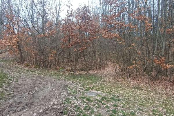 prodaja, plac,
atomska-banja-opstina-cacak, 1084938, atomska-banja